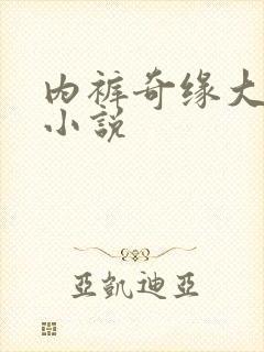 内裤奇缘大团结小说