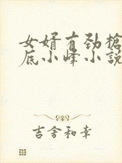 女婿有劲枪枪到底小峰小说