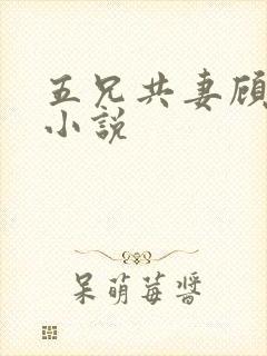 五兄共妻顾心儿小说