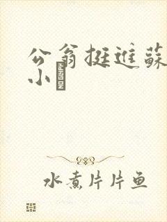 公翁挺进苏玥的小泬
