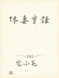 休妻实录