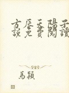 方辰天阳子的小说免费阅读