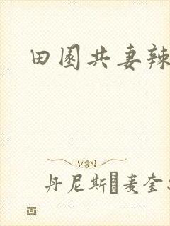 田园共妻辣