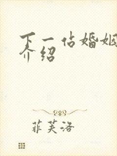 下一站婚姻剧情介绍