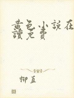 黄色小说在线阅读免费