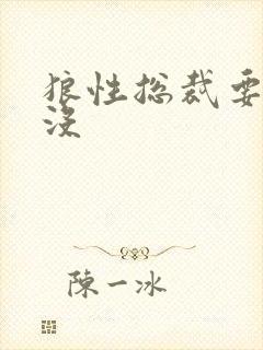 狼性总裁要够了没