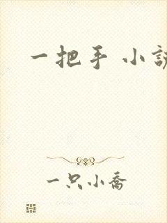 一把手 小说