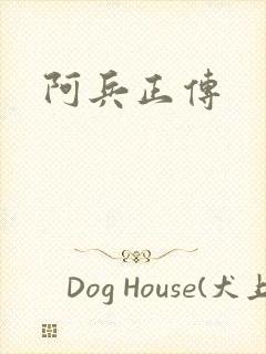 阿兵正传