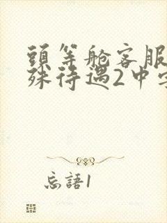 头等舱客服的特殊待遇2中字