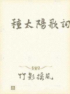 种太阳歌词