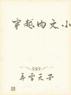 穿越肉文小说
