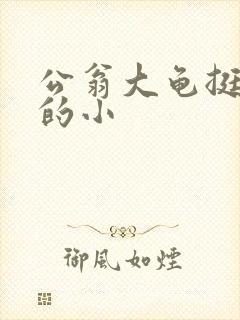 公翁大龟挺进我的小