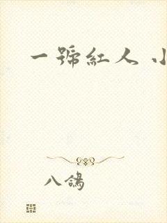 一号红人 小说
