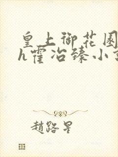 皇上御花园hlh霍冶臻小说