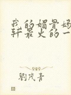 我的媚骨妈妈林轩最火的一句