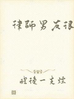 律师男友很难撩