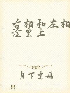 右相和左相一起淦皇上