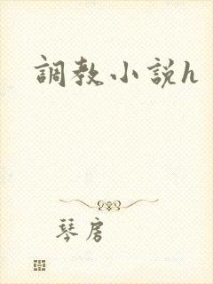 调教小说h