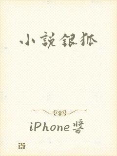小说银狐