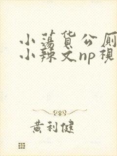 小荡货公厕h文小辣文np视频