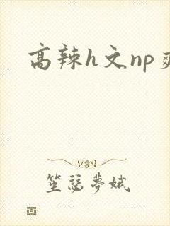 高辣h文np爽