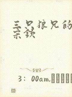 三只狼兄的宠妻宋钦