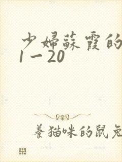 少妇苏霞的沉沦1一20