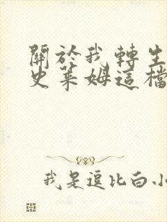 关于我转生变成史莱姆这档事小说