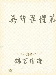 无所畏惧第二部