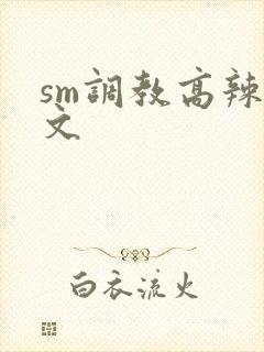 sm调教高辣h文