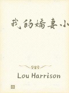 我的娇妻小说