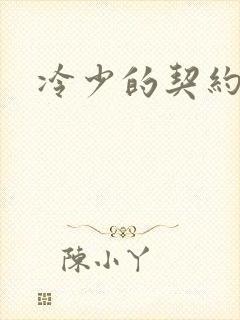 冷少的契约囚奴