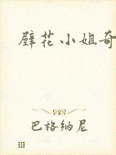 壁花小姐奇遇记