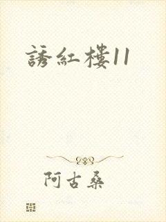 诱红楼11