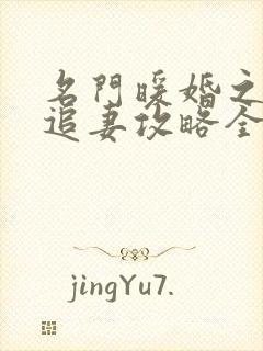 名门暖婚之权爷追妻攻略全文免费阅读