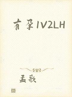 有孕1V2LH