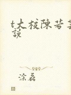 t大校陈若芸小说