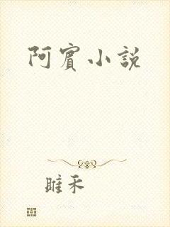 阿宾小说