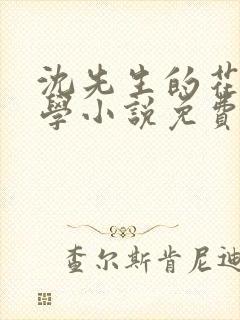 沈先生的花式教学小说免费