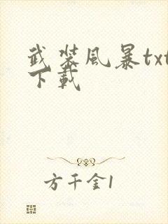 武装风暴txt下载