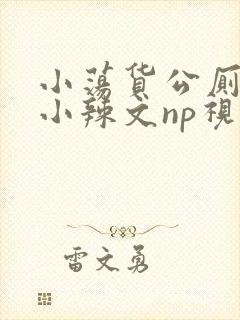 小荡货公厕h文小辣文np视频