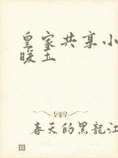 皇家共享小公主暖玉