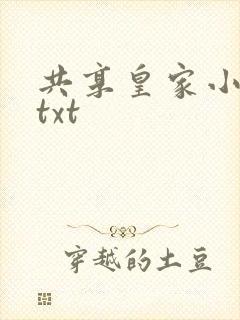 共享皇家小公主txt