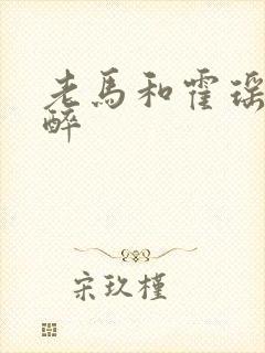 老马和霍瑶瑶喝醉