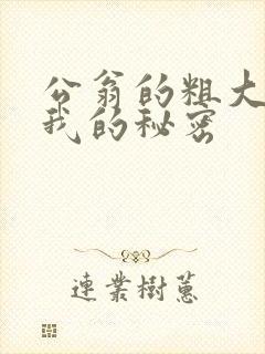 公翁的粗大放进我的秘密