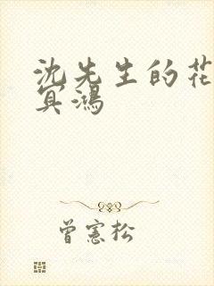 沈先生的花式调冥鸿