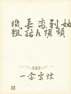 机长脔到她哭h粗话h视频