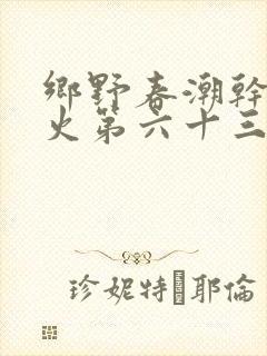 乡野春潮干柴烈火第六十三章