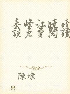 秦峰江晓晴的小说免费阅读