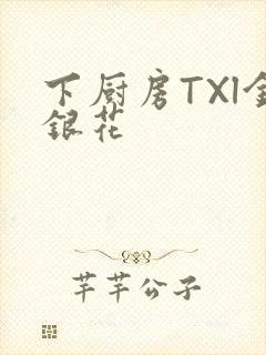 下厨房TXl金银花